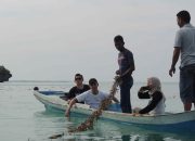 Sering Mamalia Laut Terdampar Di Alor, WWF Gelar Pelatihan Penanganan