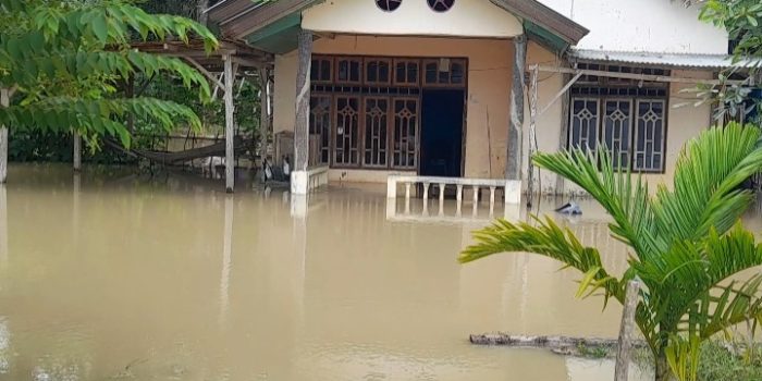 403 KK Di Desa Sikun Terdampak Banjir Benenai, 405 Hektar Lahan Pertanian Terendam