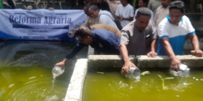 Gerakan Sinergi Reforma Agraria, Kantor Pertanahan Malaka Lepas Bibit Ikan Di Desa Lamudur