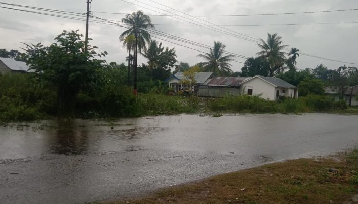 Waspada Hujan Petir, Ini Prakiraan Cuaca NTT 02 Mei April 2025