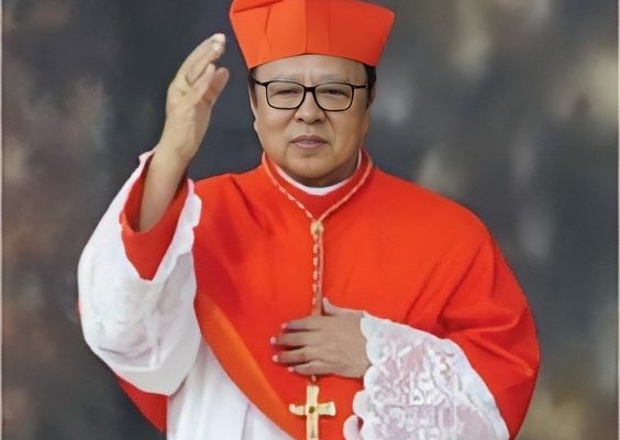 Profil Kardinal Suharyo Wakil Gereja Indonesia Di KONKLAF Pemilihan Paus 2025