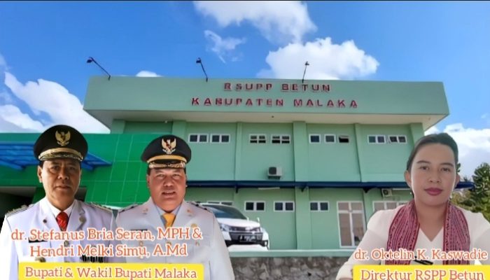 Rumah Sakit Penyanggah Perbatasan Punya 11 Dokter Ahli, Apa Saja?